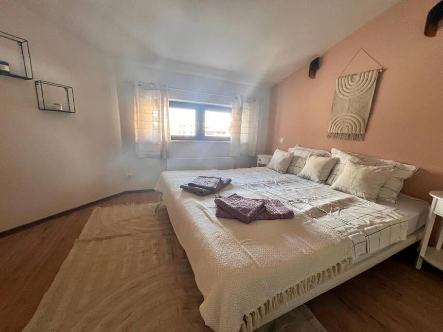Cozy 1 Bedroom Apartment Next To The Gondola Bansko Ngoại thất bức ảnh