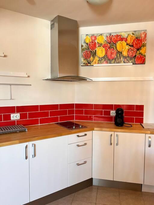 Cozy 1 Bedroom Apartment Next To The Gondola Bansko Ngoại thất bức ảnh